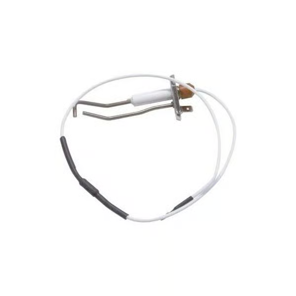 Biasi BI1363103 Electrode | Genuine Replacement Spare Part