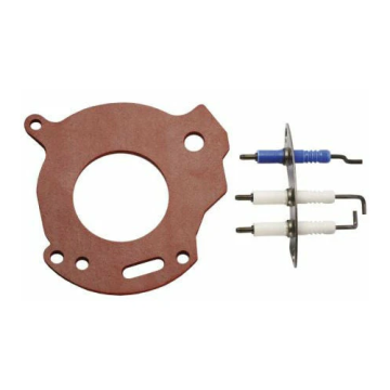 Worcester Bosch 87161163810 Electrode Kit