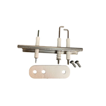 Worcester Bosch 8737709581 Bosch Electrode With Spring