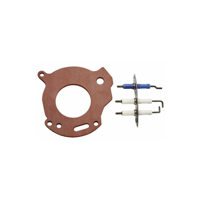 Worcester Bosch 87161163810 Electrode Kit