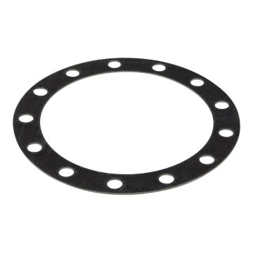 Instanta HFF128SP 13-Hole Boiler Top Plate Gasket (for N07460 & P07619)
