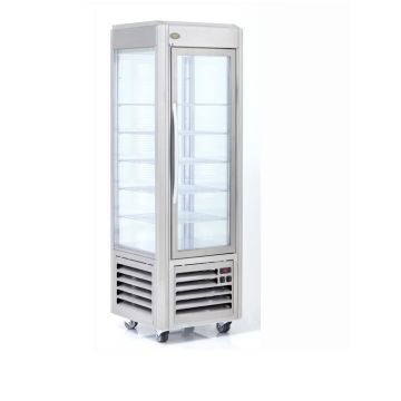Roller Grill Vertical Fixed Shelf  Frozen Display Cabinet RDN60F in Stainless Steel