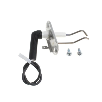 Glow-Worm 10043328 Electrode and Screw and Gasket - Genuine Glow-Worm Product